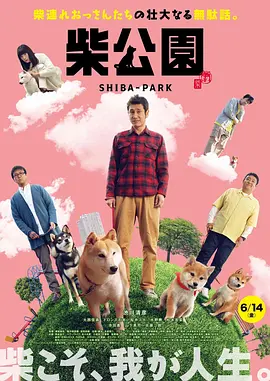 午夜色视频在线观看